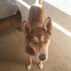 Meet your Posher, Heather